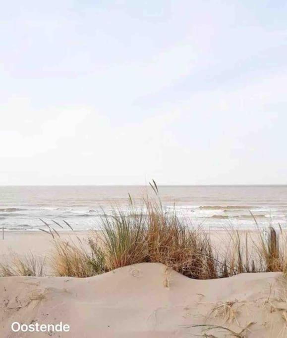 Ostend Chic, Luxe Loftstijl In Oostende 外观 照片